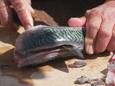 한국인의 밥상 고등어 회.gif | 인스티즈
