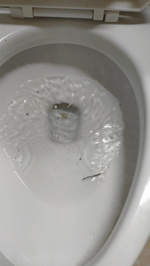 디시 기갤러리의 고문 기술자들.gif (혐오주의) | 인스티즈