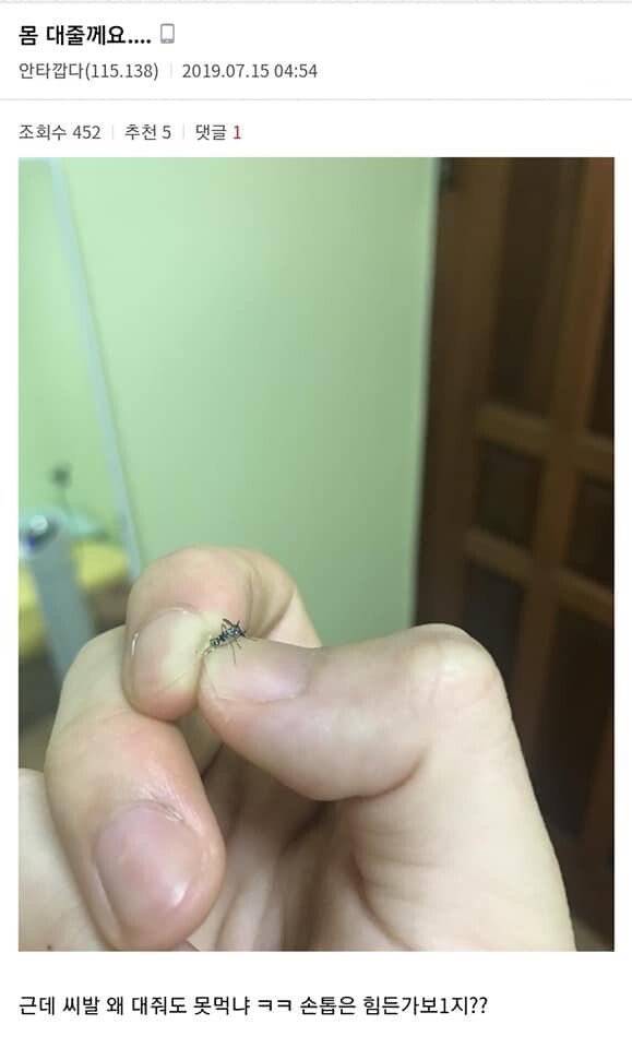 디시 기갤러리의 고문 기술자들.gif (혐오주의) | 인스티즈