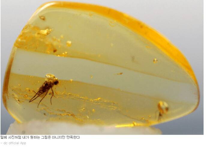 디시 기갤러리의 고문 기술자들.gif (혐오주의) | 인스티즈