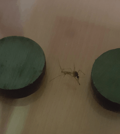 디시 기갤러리의 고문 기술자들.gif (혐오주의) | 인스티즈