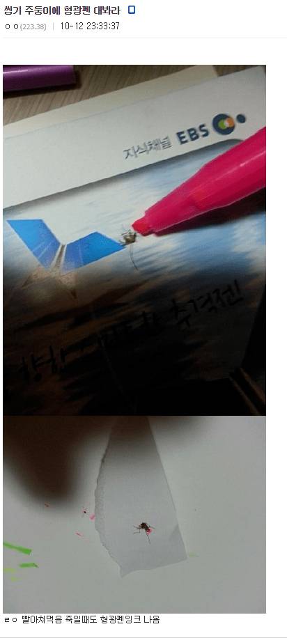 디시 기갤러리의 고문 기술자들.gif (혐오주의) | 인스티즈