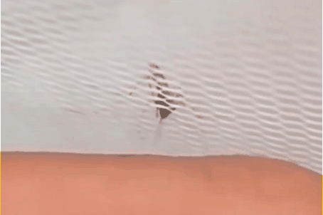 디시 기갤러리의 고문 기술자들.gif (혐오주의) | 인스티즈