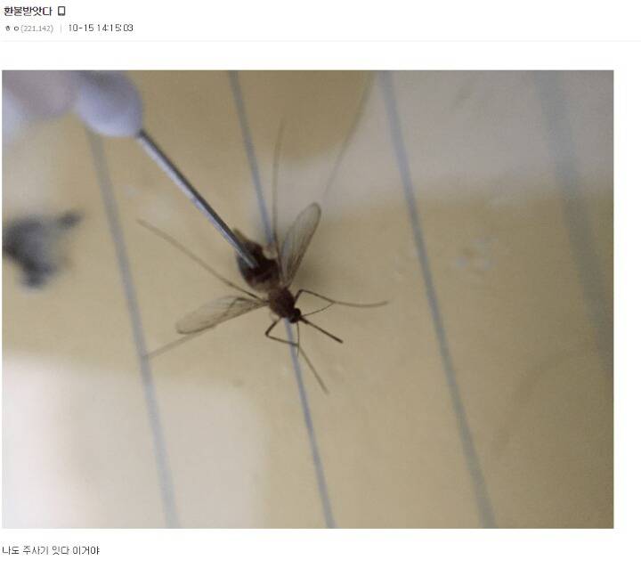 디시 기갤러리의 고문 기술자들.gif (혐오주의) | 인스티즈