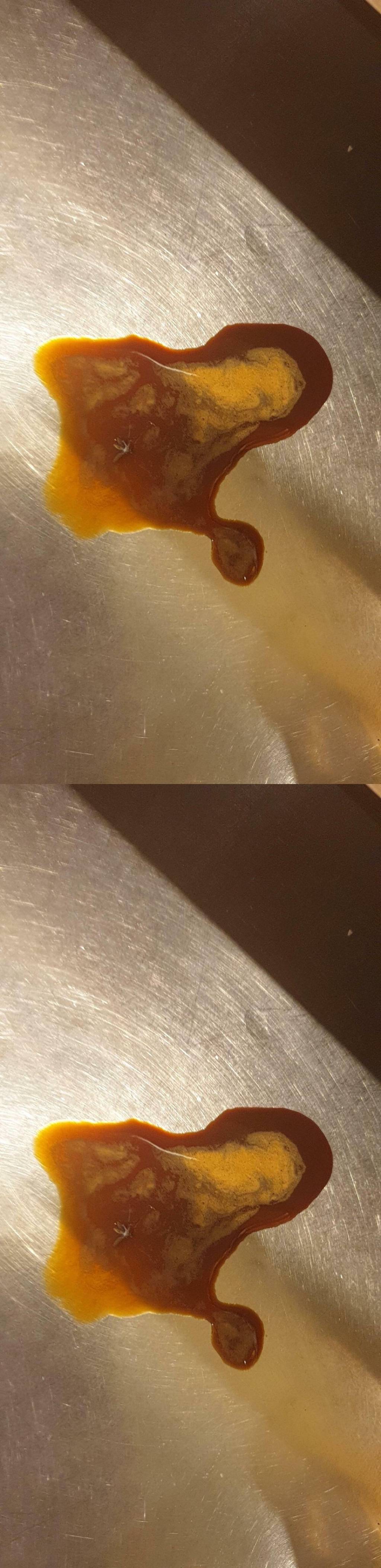 디시 기갤러리의 고문 기술자들.gif (혐오주의) | 인스티즈