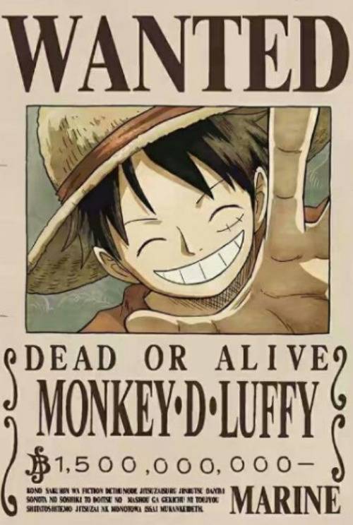 원피스 현시점 오황 5명 | 인스티즈