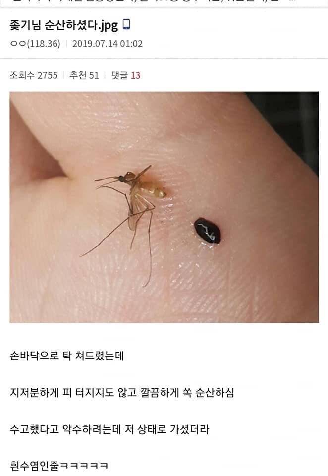 디시 기갤러리의 고문 기술자들.gif (혐오주의) | 인스티즈