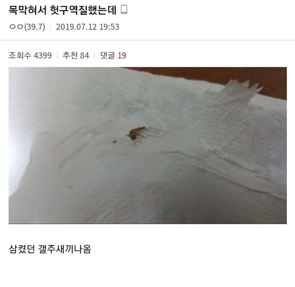 디시 기갤러리의 고문 기술자들.gif (혐오주의) | 인스티즈