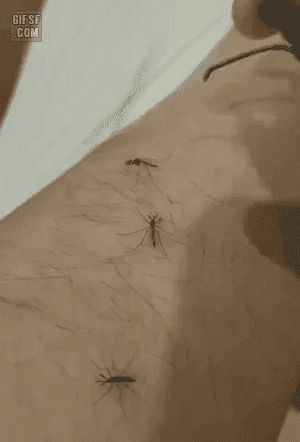 디시 기갤러리의 고문 기술자들.gif (혐오주의) | 인스티즈