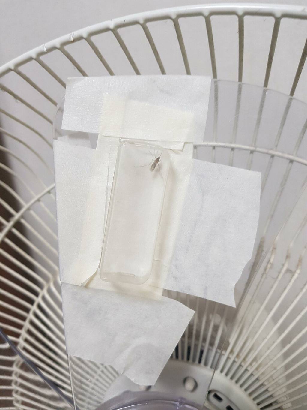 디시 기갤러리의 고문 기술자들.gif (혐오주의) | 인스티즈