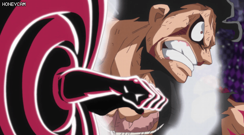 원피스 현시점 오황 5명 | 인스티즈