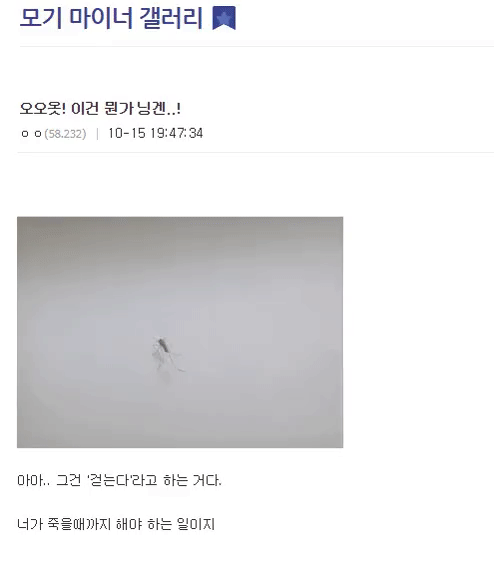디시 기갤러리의 고문 기술자들.gif (혐오주의) | 인스티즈