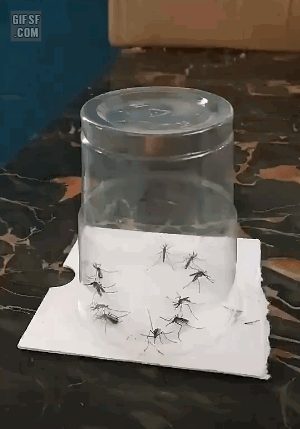 디시 기갤러리의 고문 기술자들.gif (혐오주의) | 인스티즈