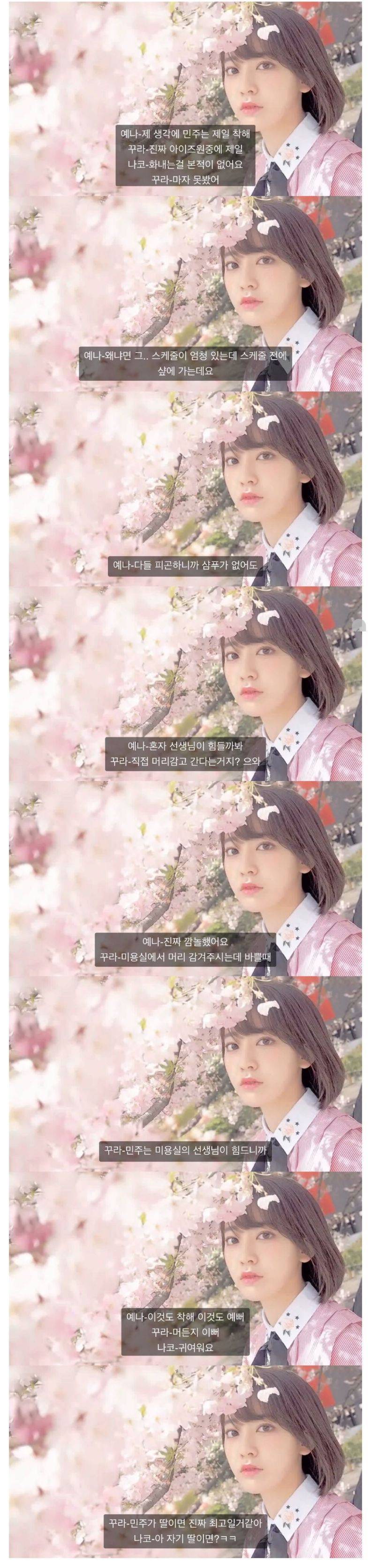 친부모님도 이렇게 까지는 못 한다는 아이즈원 사쿠라의 멤버 주접문 | 인스티즈