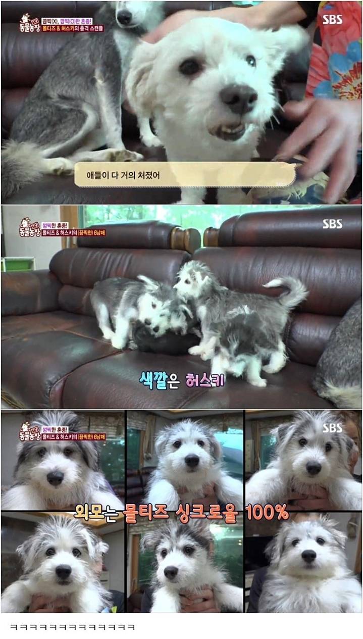 작은 고추가 맵다.jpg | 인스티즈