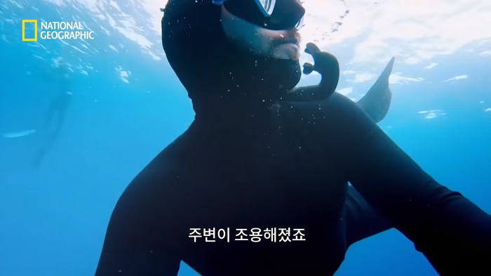 고래 먹방하던 상어들이 갑자기 사라진이유.jpggif | 인스티즈