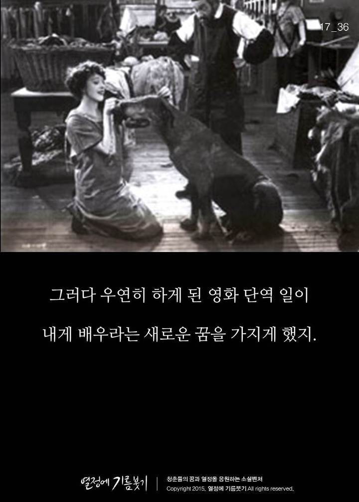 20세기 가장 아름다운배우 | 인스티즈