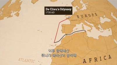 우리가 커피를 값싸게 먹을수 있는 이유 | 인스티즈