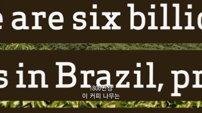 우리가 커피를 값싸게 먹을수 있는 이유 | 인스티즈