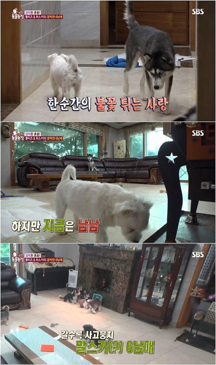 작은 고추가 맵다.jpg | 인스티즈