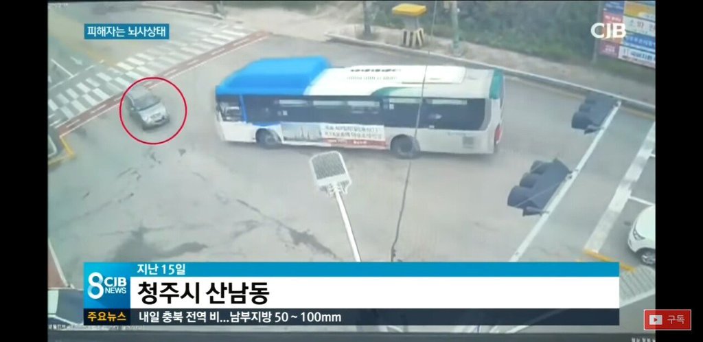 시내버스 불법운전에 20대 여성 운전자 뇌사상태 .news | 인스티즈