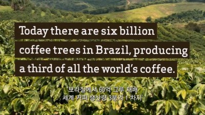 우리가 커피를 값싸게 먹을수 있는 이유 | 인스티즈