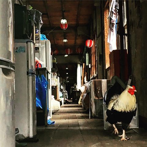 일본 최고 명문대중 하나인 교토대학교의 기숙사.jpg | 인스티즈