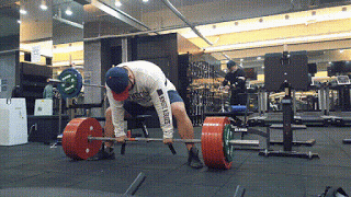 한국 대학생 3대중량 860kg | 인스티즈