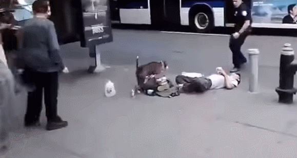 미국경찰이 개가 달려들때 대처하는 방법 | 인스티즈