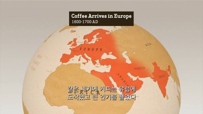 우리가 커피를 값싸게 먹을수 있는 이유 | 인스티즈