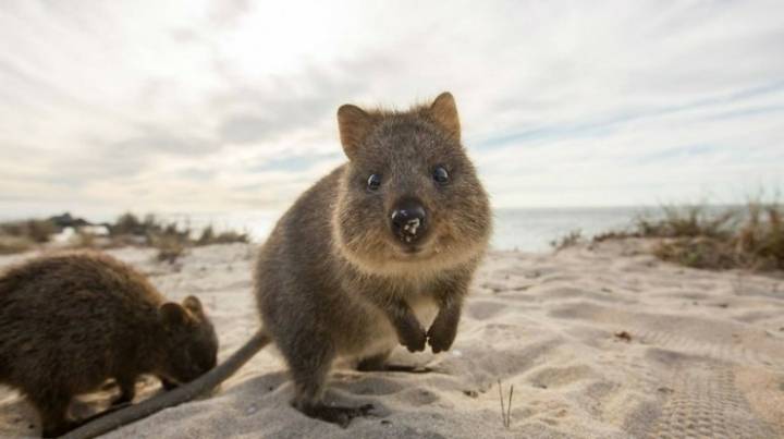 웃으면서 다가오는 벌금.jpg | 인스티즈