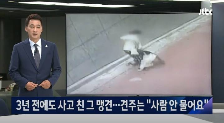 조그만 개가 깽깽 짖으니 우리 개가 스트레스 받은 거고 사람은 안 물어요 | 인스티즈