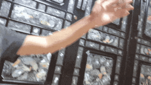 너네 이거 되니? | 인스티즈