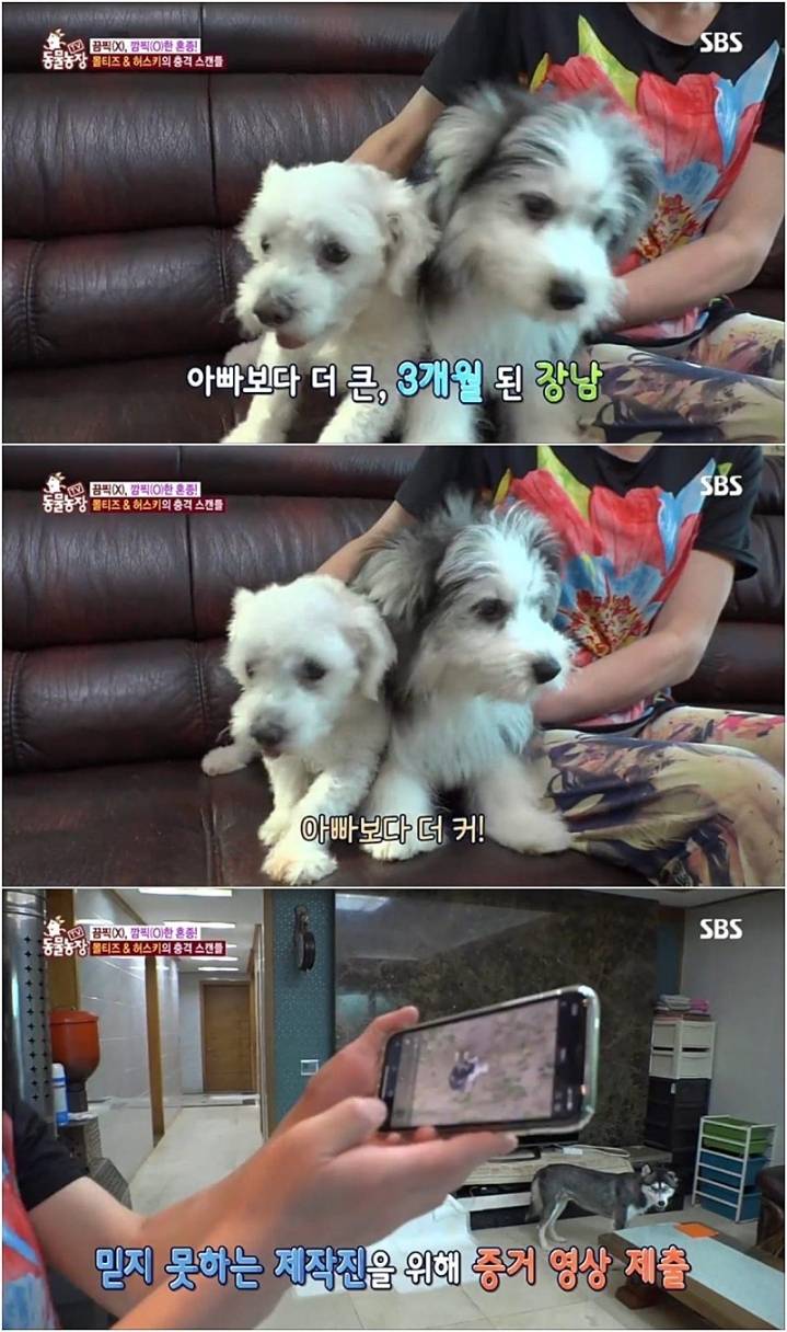 작은 고추가 맵다.jpg | 인스티즈