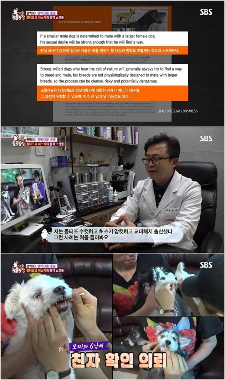 작은 고추가 맵다.jpg | 인스티즈