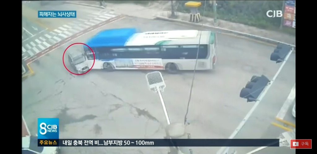 시내버스 불법운전에 20대 여성 운전자 뇌사상태 .news | 인스티즈