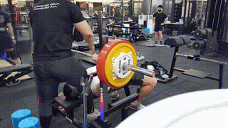 한국 대학생 3대중량 860kg | 인스티즈