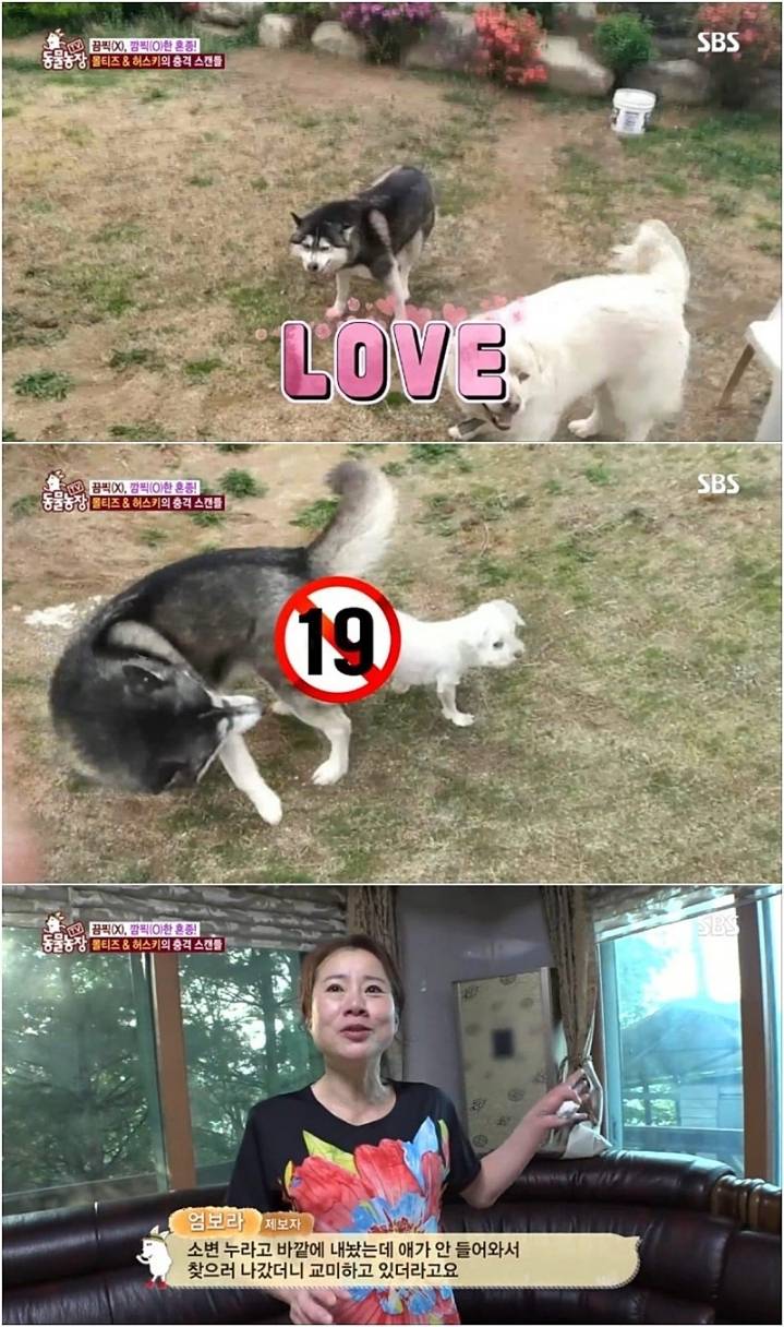 작은 고추가 맵다.jpg | 인스티즈