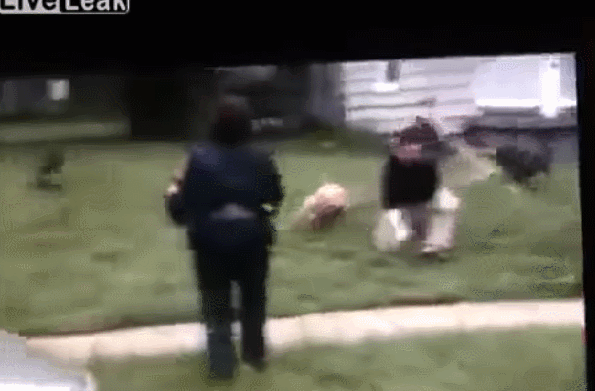 미국경찰이 개가 달려들때 대처하는 방법 | 인스티즈