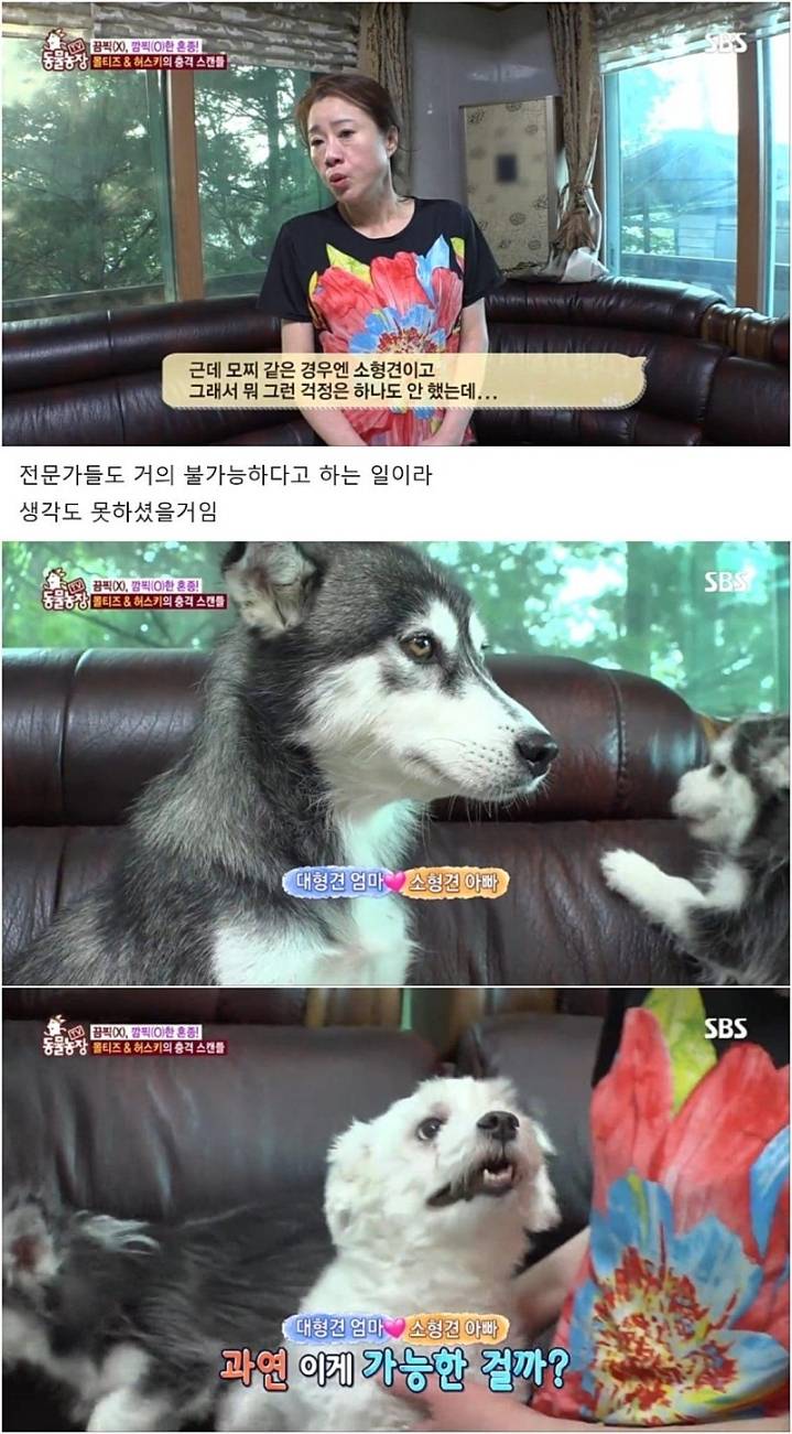 작은 고추가 맵다.jpg | 인스티즈