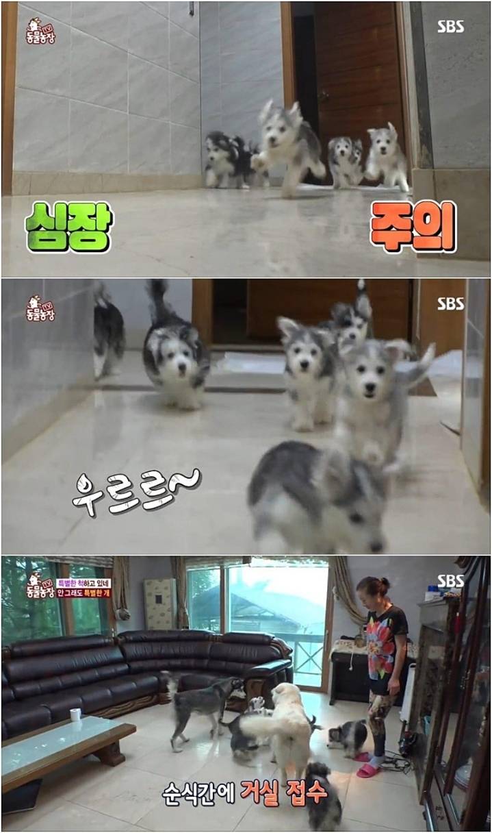 작은 고추가 맵다.jpg | 인스티즈