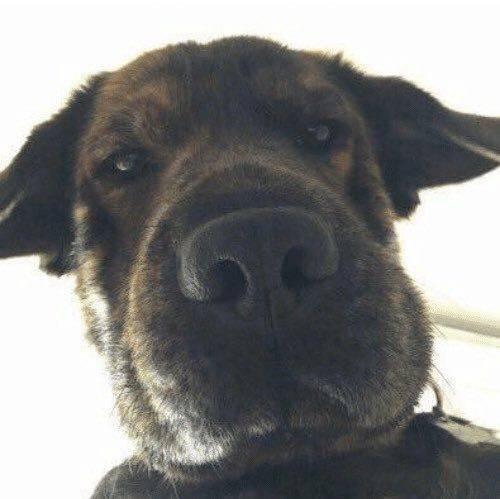 섹스할 때 여자 시점 | 인스티즈