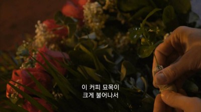 우리가 커피를 값싸게 먹을수 있는 이유 | 인스티즈