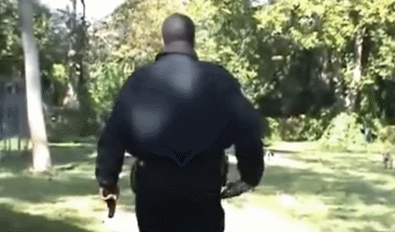 미국경찰이 개가 달려들때 대처하는 방법 | 인스티즈