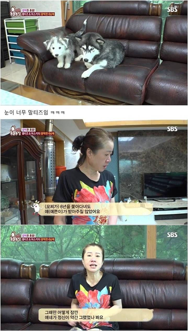 작은 고추가 맵다.jpg | 인스티즈