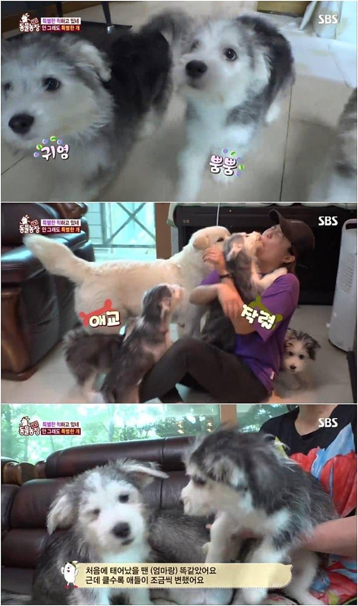 작은 고추가 맵다.jpg | 인스티즈