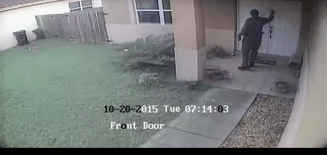 미국경찰이 개가 달려들때 대처하는 방법 | 인스티즈