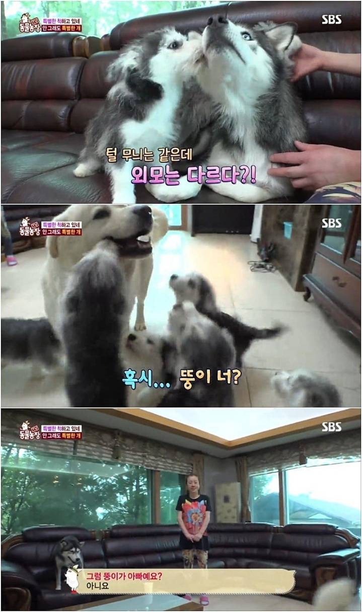 작은 고추가 맵다.jpg | 인스티즈