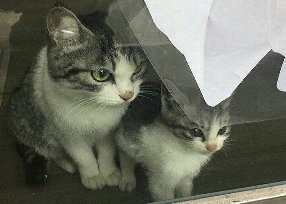 편의점 무전취식 모녀.jpg | 인스티즈