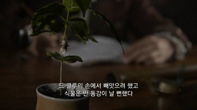 우리가 커피를 값싸게 먹을수 있는 이유 | 인스티즈